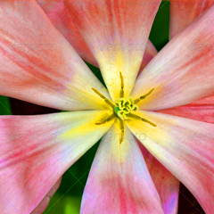 小黑ddos压力测试平台