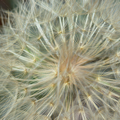 ddos服务器攻击手段